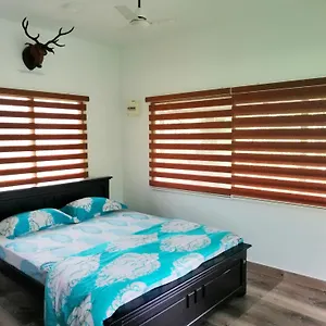 https://apt-noahs-nest-tree-house.kerala-hotels.net